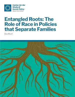 Entangled Roots: the Role of Race in Policies That Separate Families Elisa Minoff