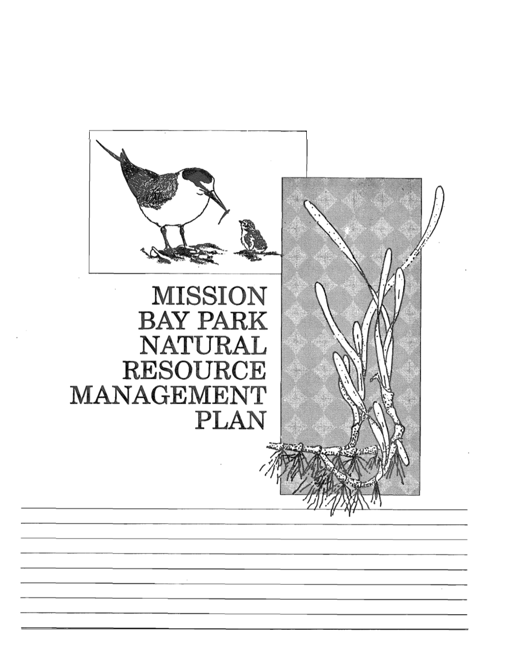 Mission Bay Natural Resources Management Plan