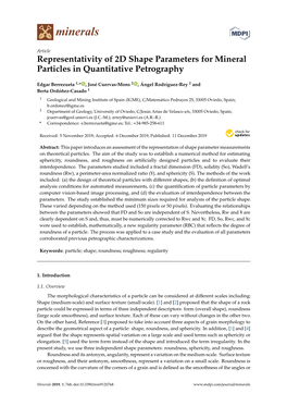 Representativity of 2D Shape Parameters for Mineral Particles in Quantitative Petrography