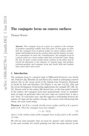 The Conjugate Locus on Convex Surfaces