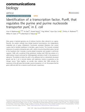 Identification of a Transcription Factor, Punr, That Regulates the Purine and Purine Nucleoside Transporter Punc in E. Coli