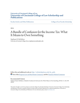 A Bundle of Confusion for the Income Tax: What It Means to Own Something Stephanie H