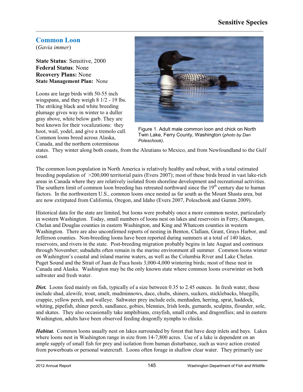 Common Loon Fact Sheet