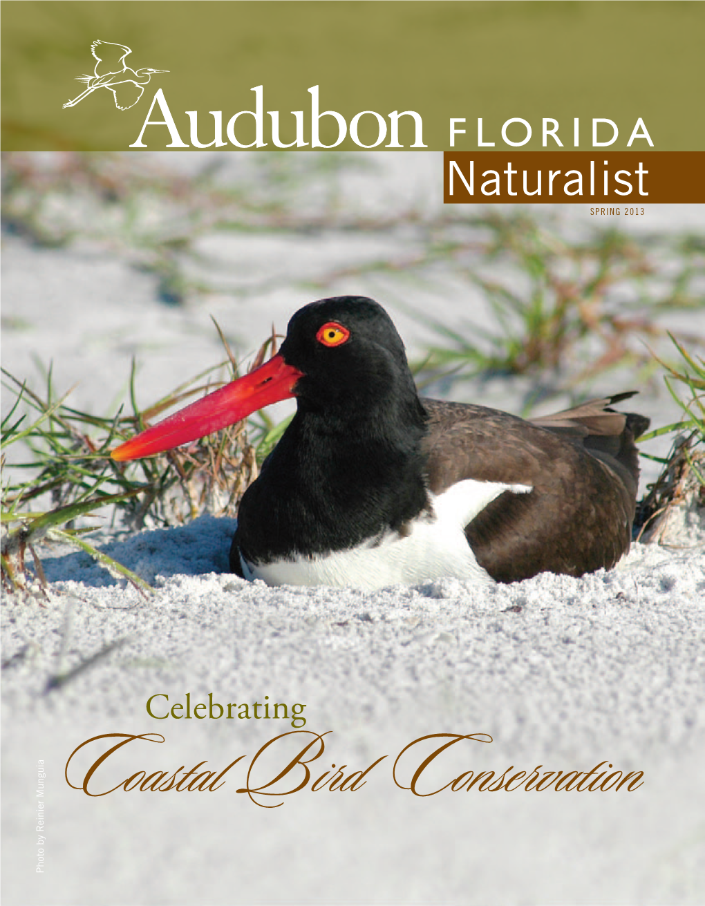 Audubon Florida Naturalist Magazine Spring 2013