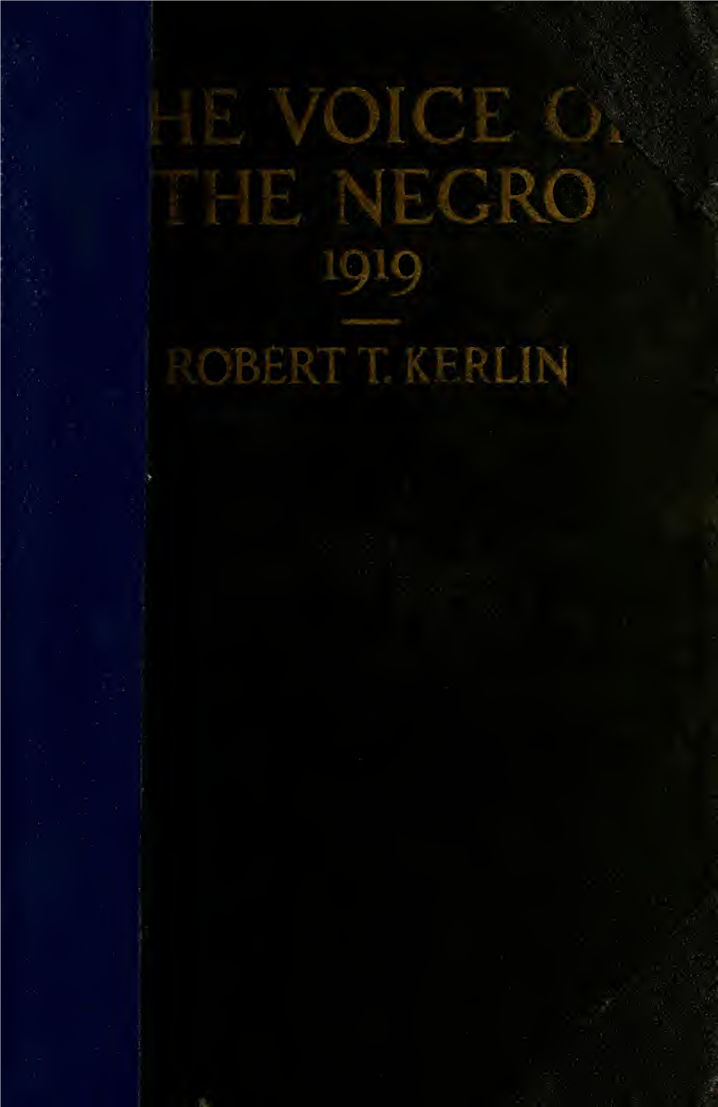 The Voice of the Negro 1919