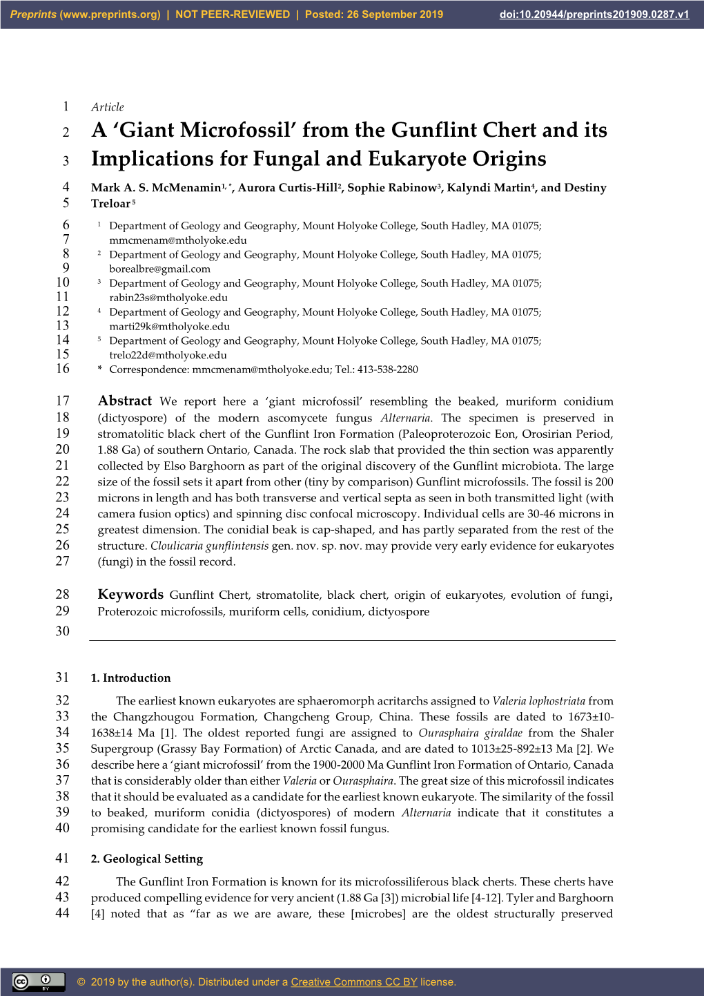 A 'Giant Microfossil' from the Gunflint Chert and Its Implications for Fungal