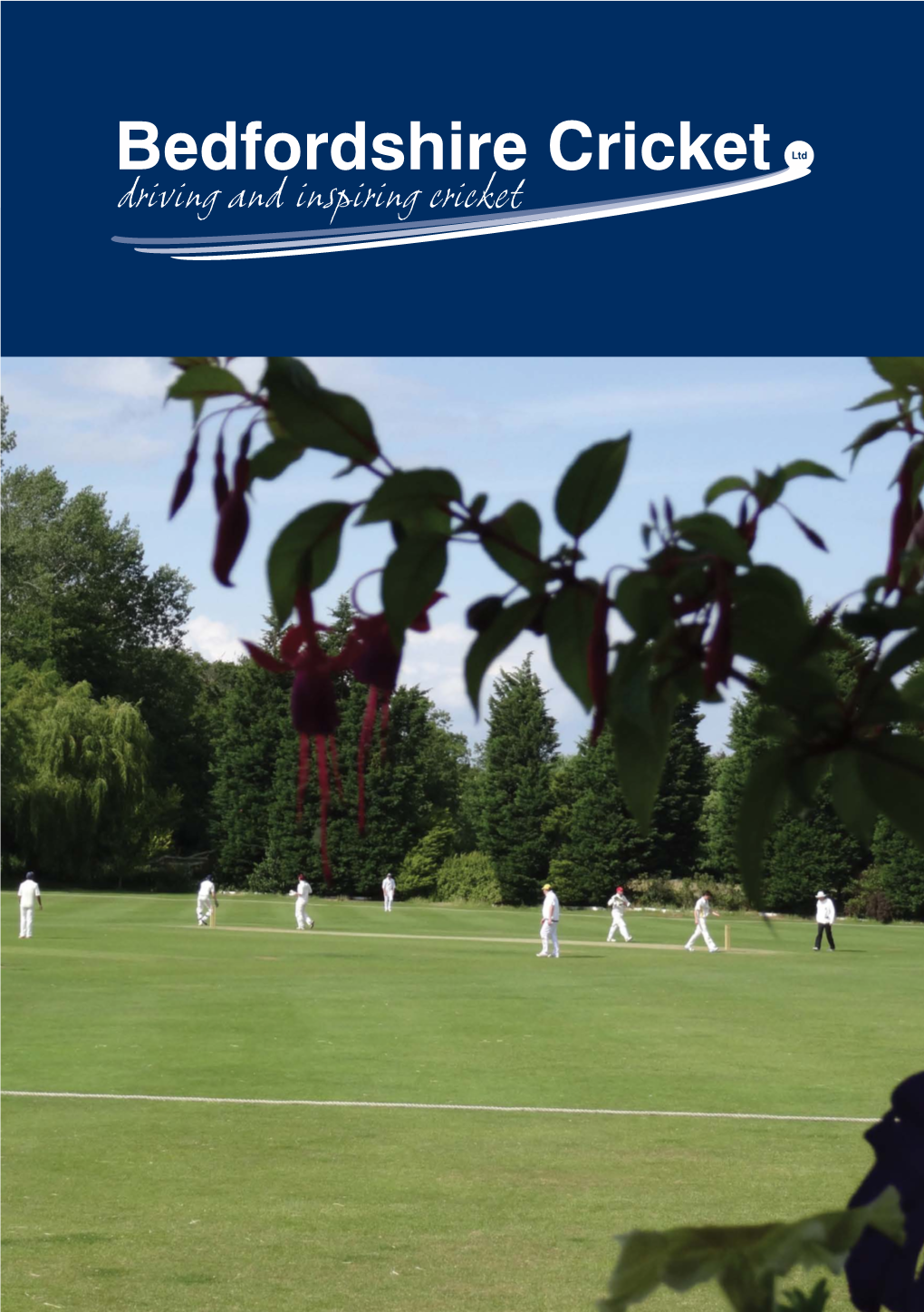 Bedfordshire Cricket Ltd Driving and Inspiring Cricket Our Vision to Drive and Inspire Cricket
