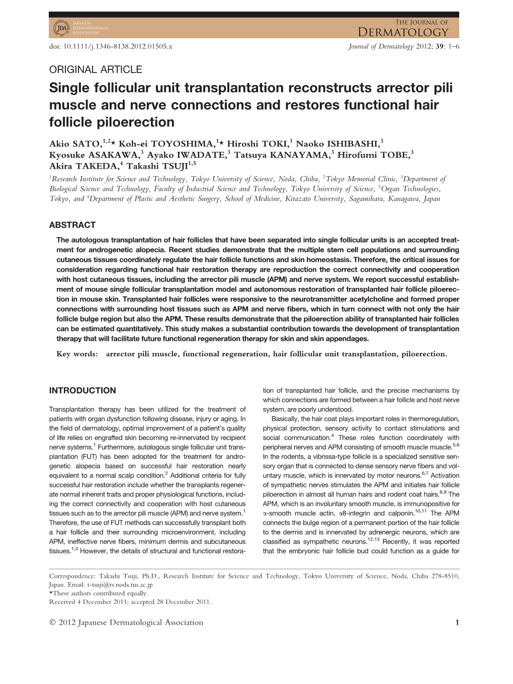 Single Follicular Unit Transplantation Reconstructs Arrector Pili Muscle and Nerve Connections and Restores Functional Hair Follicle Piloerection