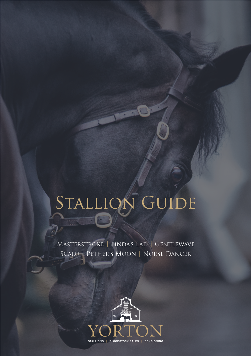 Stallion Guide