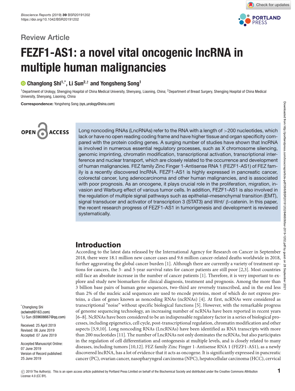 FEZF1-AS1: a Novel Vital Oncogenic Lncrna in Multiple Human Malignancies