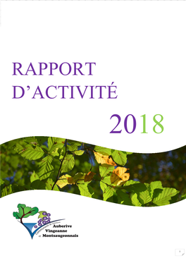 Rapport D'activité 2018