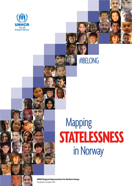 Mapping in Norway Has Been Conducted by an Independent Consultant, Ms