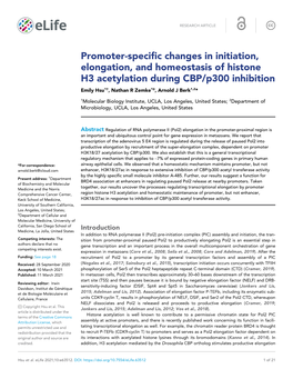 Promoter-Specific Changes in Initiation, Elongation, and Homeostasis Of