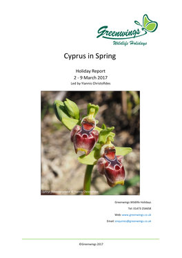 Cyprus in Spring Holiday Report 2017