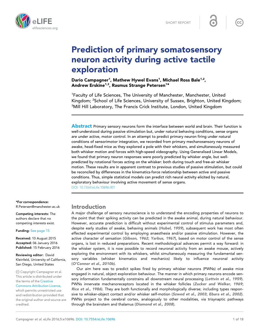 Prediction of Primary Somatosensory Neuron Activity During Active Tactile