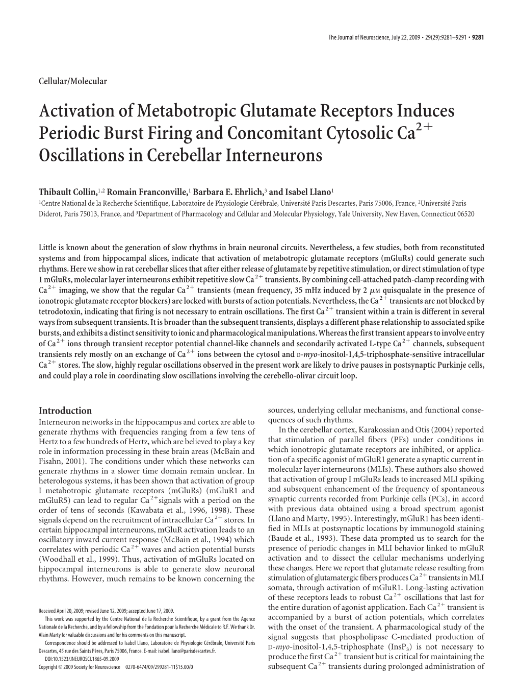 Activation of Metabotropic Glutamate Receptors Induces Periodic Burst Firing and Concomitant Cytosolic Ca2ϩ Oscillations in Cerebellar Interneurons