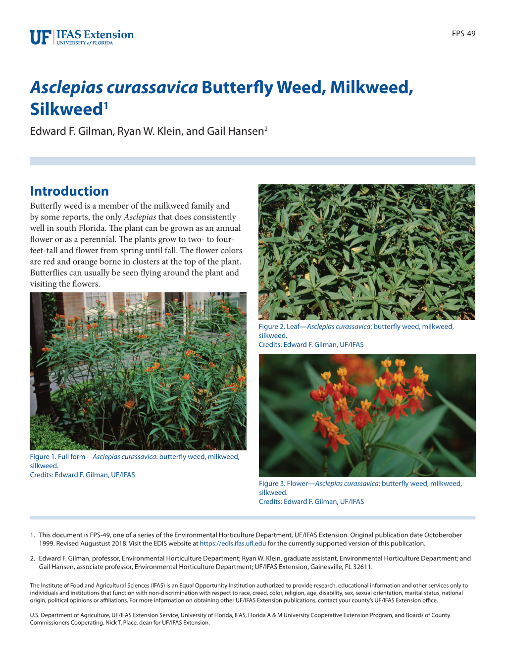 Asclepias Curassavica Butterfly Weed, Milkweed, Silkweed1 Edward F