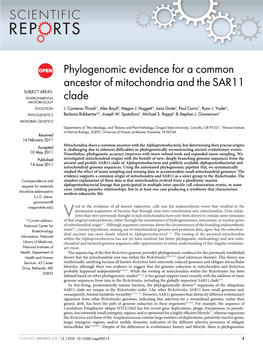 Phylogenomic Evidence for a Common Ancestor of Mitochondria and the SAR11 SUBJECT AREAS: ENVIRONMENTAL Clade MICROBIOLOGY EVOLUTION J