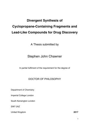 Divergent Synthesis of Cyclopropane-Containing Fragments and Lead-Like Compounds for Drug Discovery
