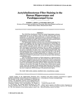 Acetylcholinesterase Fiber Staining in the Human Hippocampus and Parahippocampal Gyrms