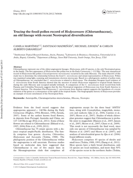 Tracing the Fossil Pollen Record of Hedyosmum (Chloranthaceae), an Old Lineage with Recent Neotropical Diversiﬁcation