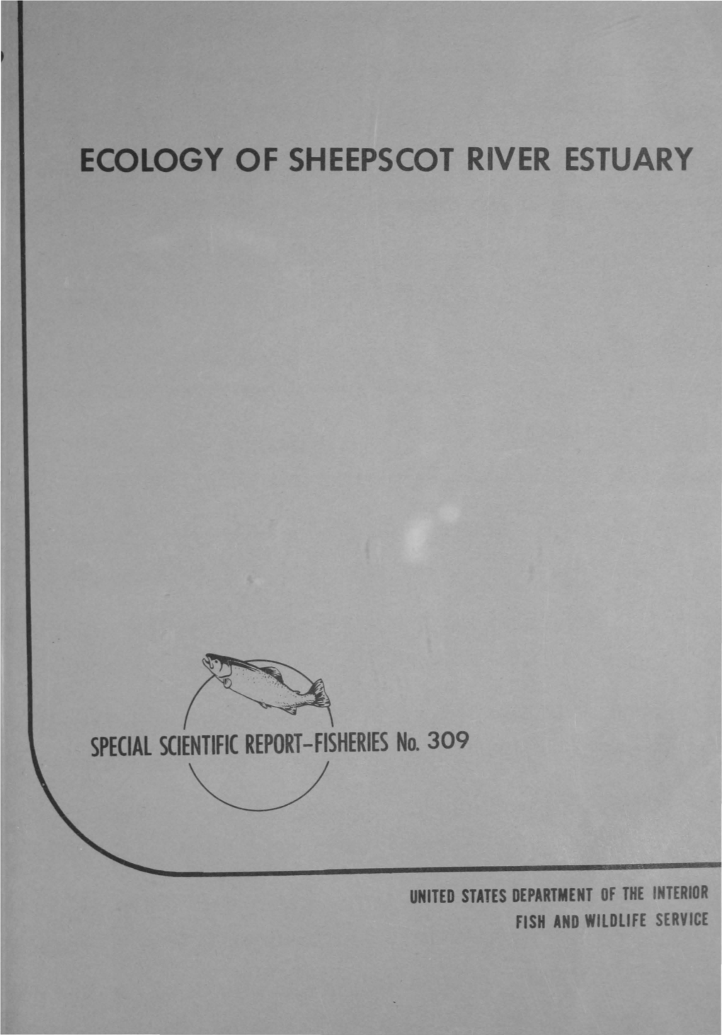 Ecology of Sheepscot River Estuary