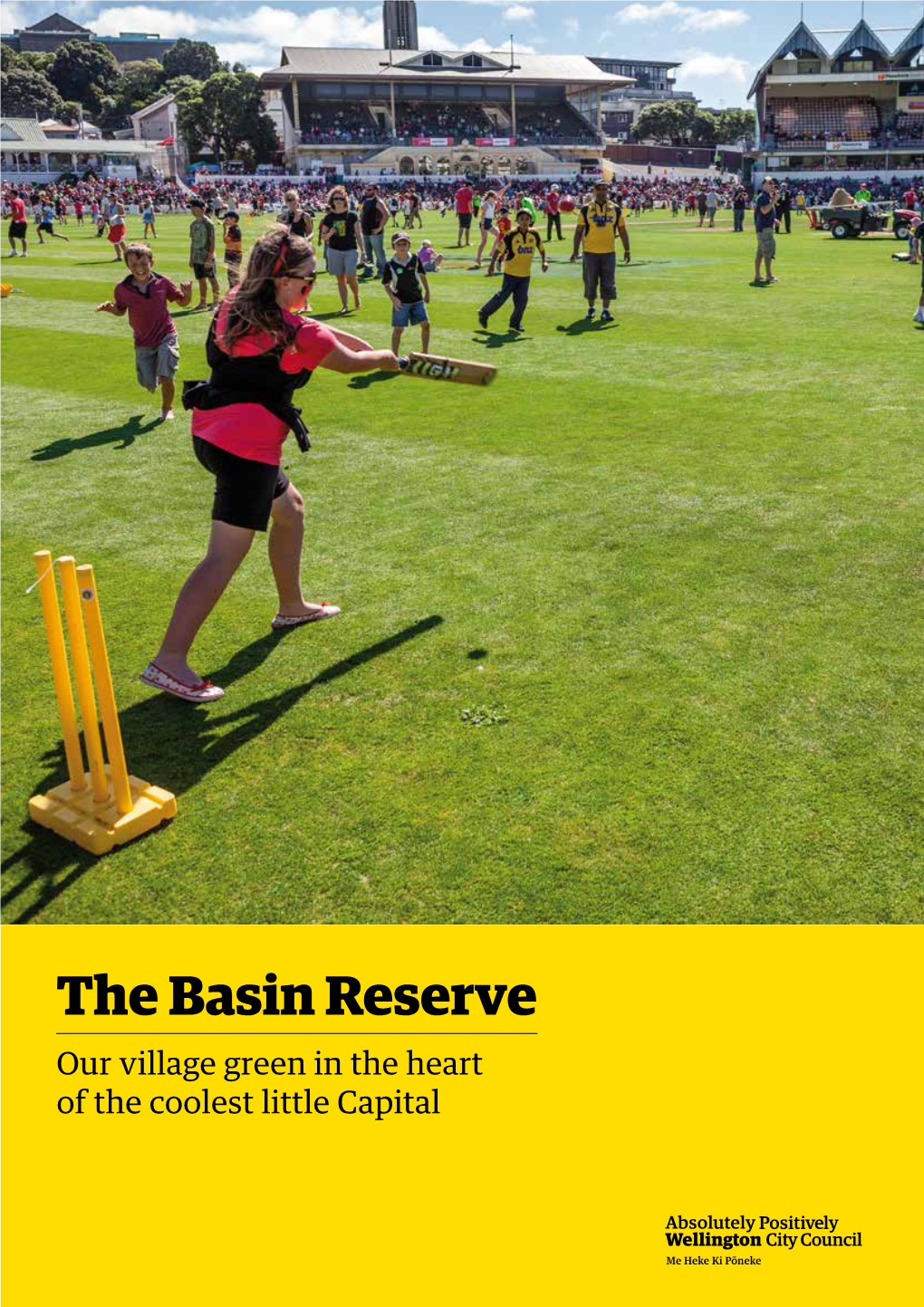 The Basin Reserve Masterplan