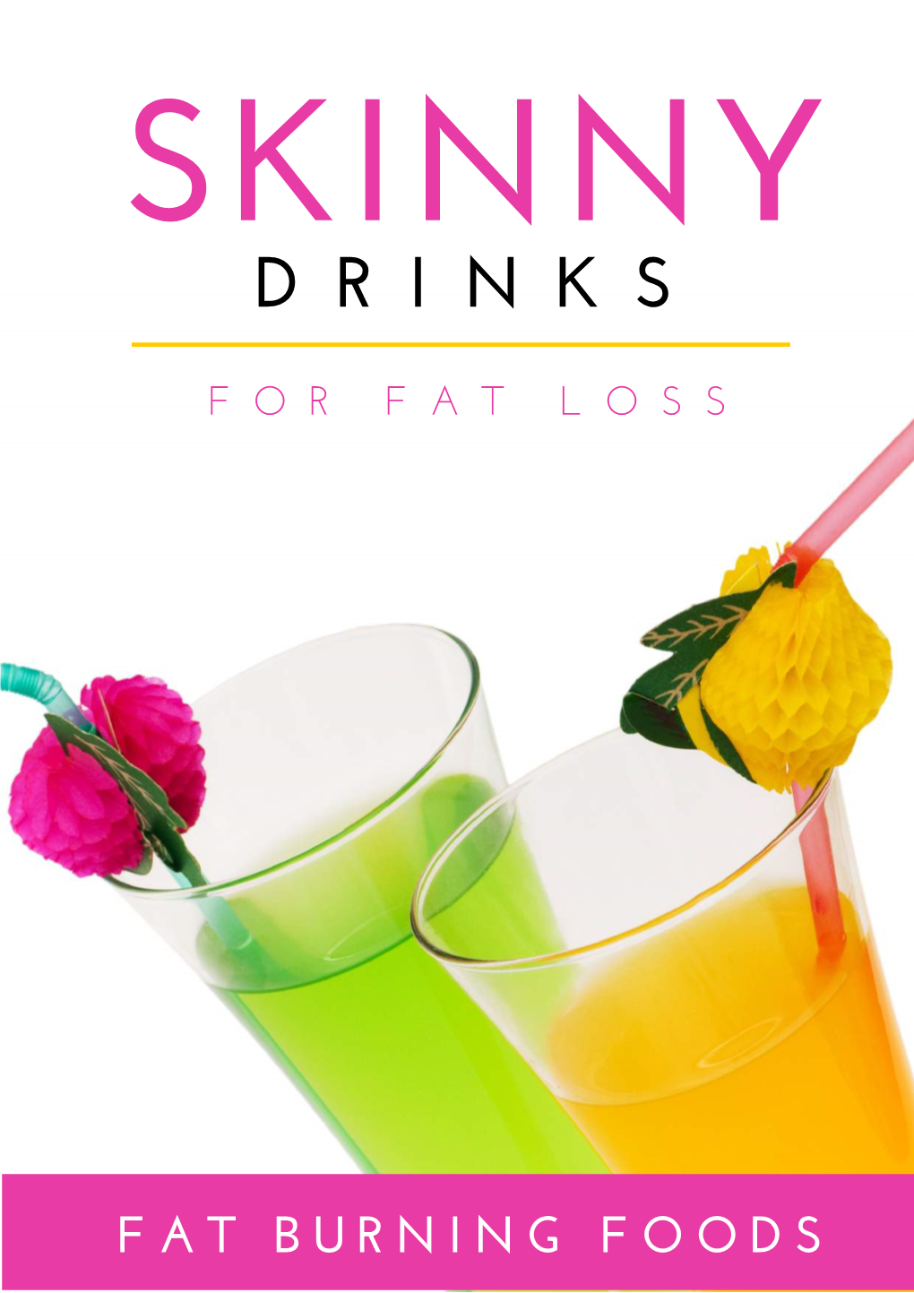 Skinny Drinks Beginning