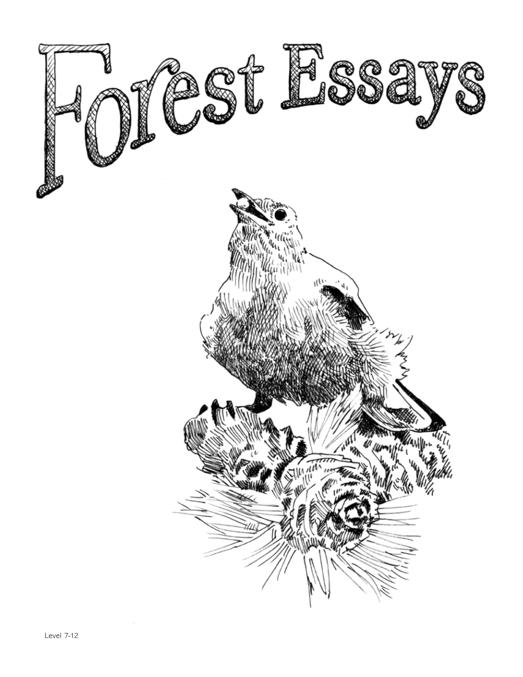 Forest Essays (Level 7-12)