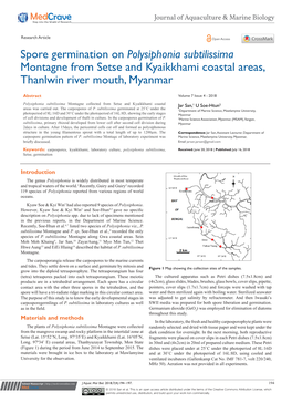Spore Germination on Polysiphonia Subtilissima Montagne from Setse and Kyaikkhami Coastal Areas, Thanlwin River Mouth, Myanmar