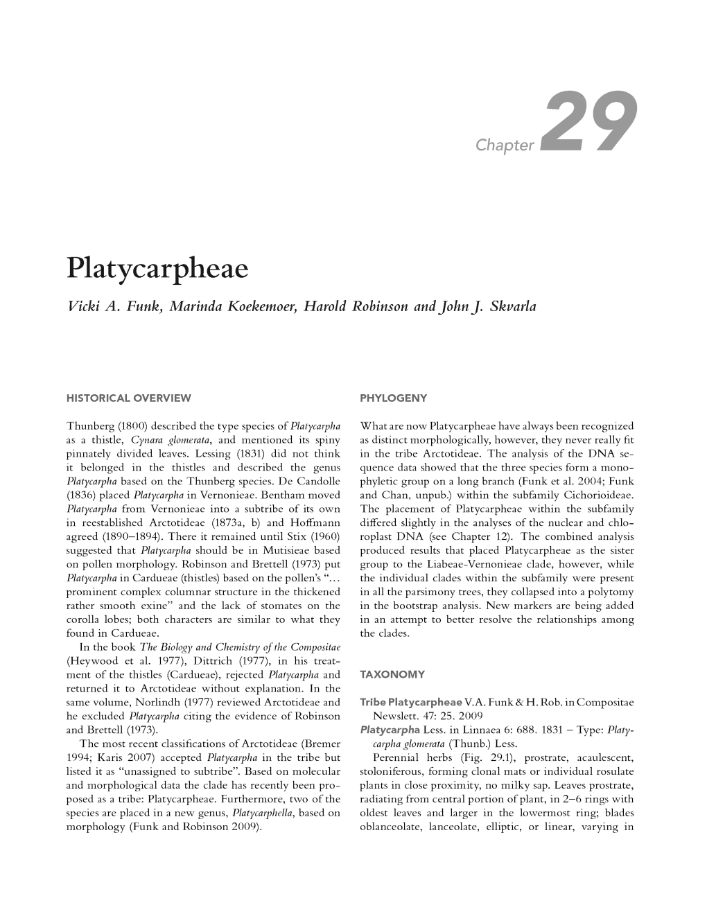 Platycarpheae