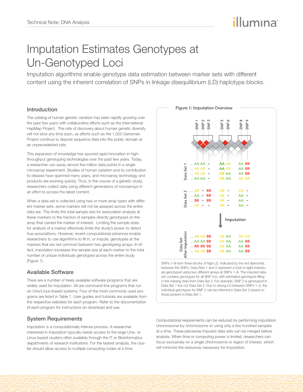 Imputation Estimates Genotypes at Un-Genotyped Loci