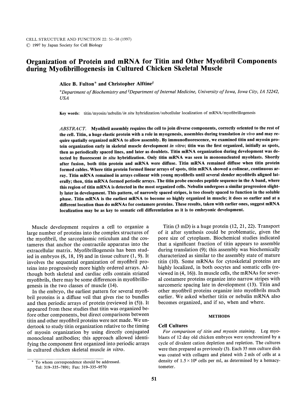 During Myofibrillogenesis in Cultured Chicken Skeletal Muscle Alice B