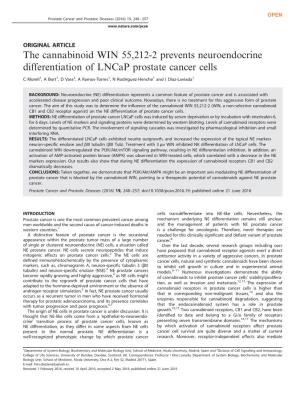 The Cannabinoid WIN 55,212-2 Prevents Neuroendocrine Differentiation of Lncap Prostate Cancer Cells