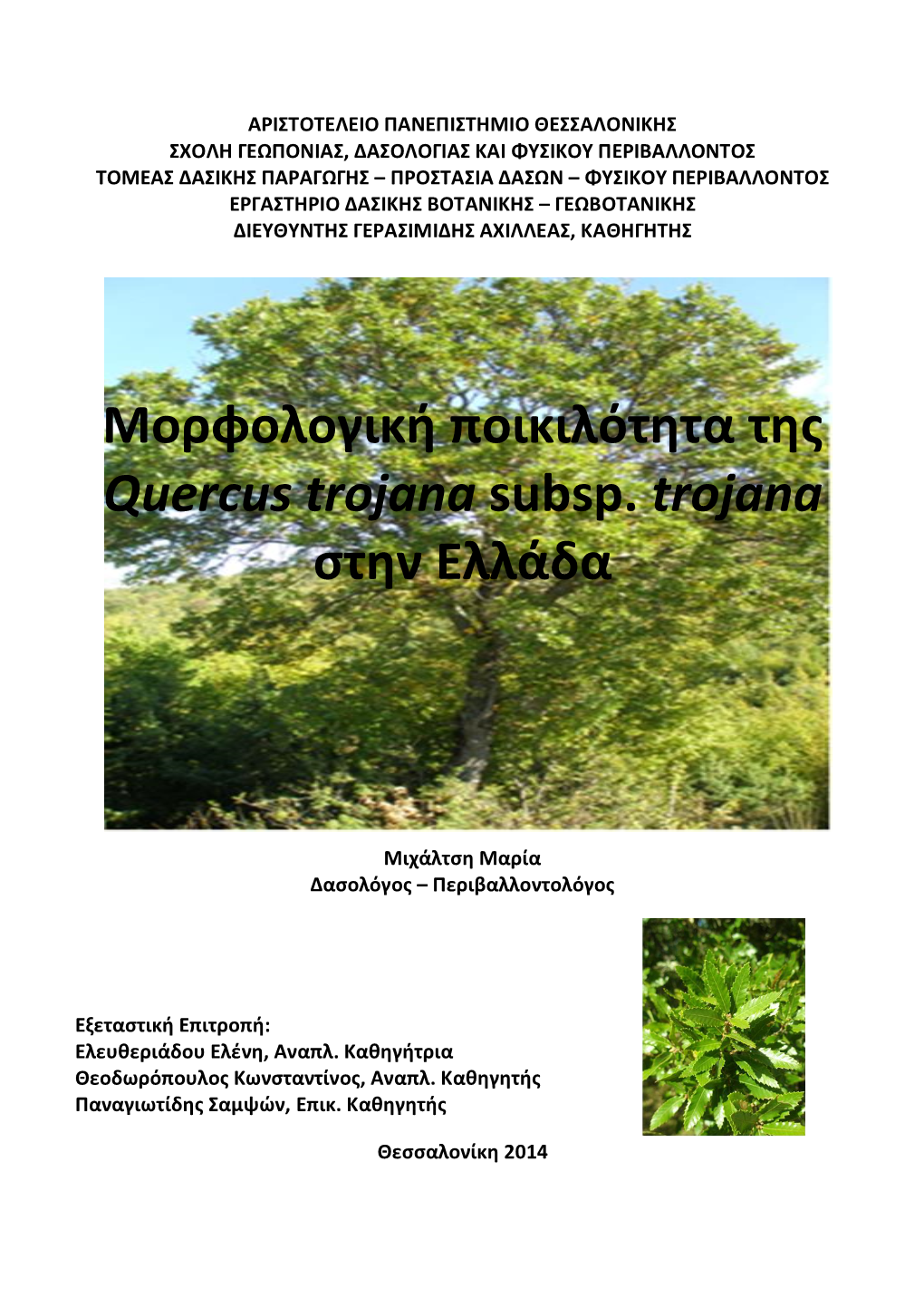 Μορφολογική Ποικιλότητα Της Quercus Trojana Subsp. Trojana Στην Ελλάδα