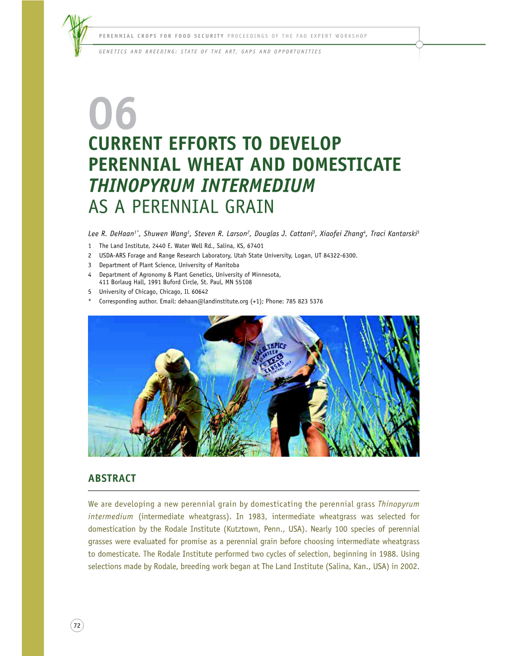 06 Current Efforts to Develop Perennial Wheat and Domesticate Thinopyrum Intermedium As a Perennial Grain