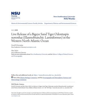 Live Release of a Bigeye Sand Tiger Odontaspis Noronhai (Elasmobranchii: Lamniformes) in the Western North Atlantic Ocean David W