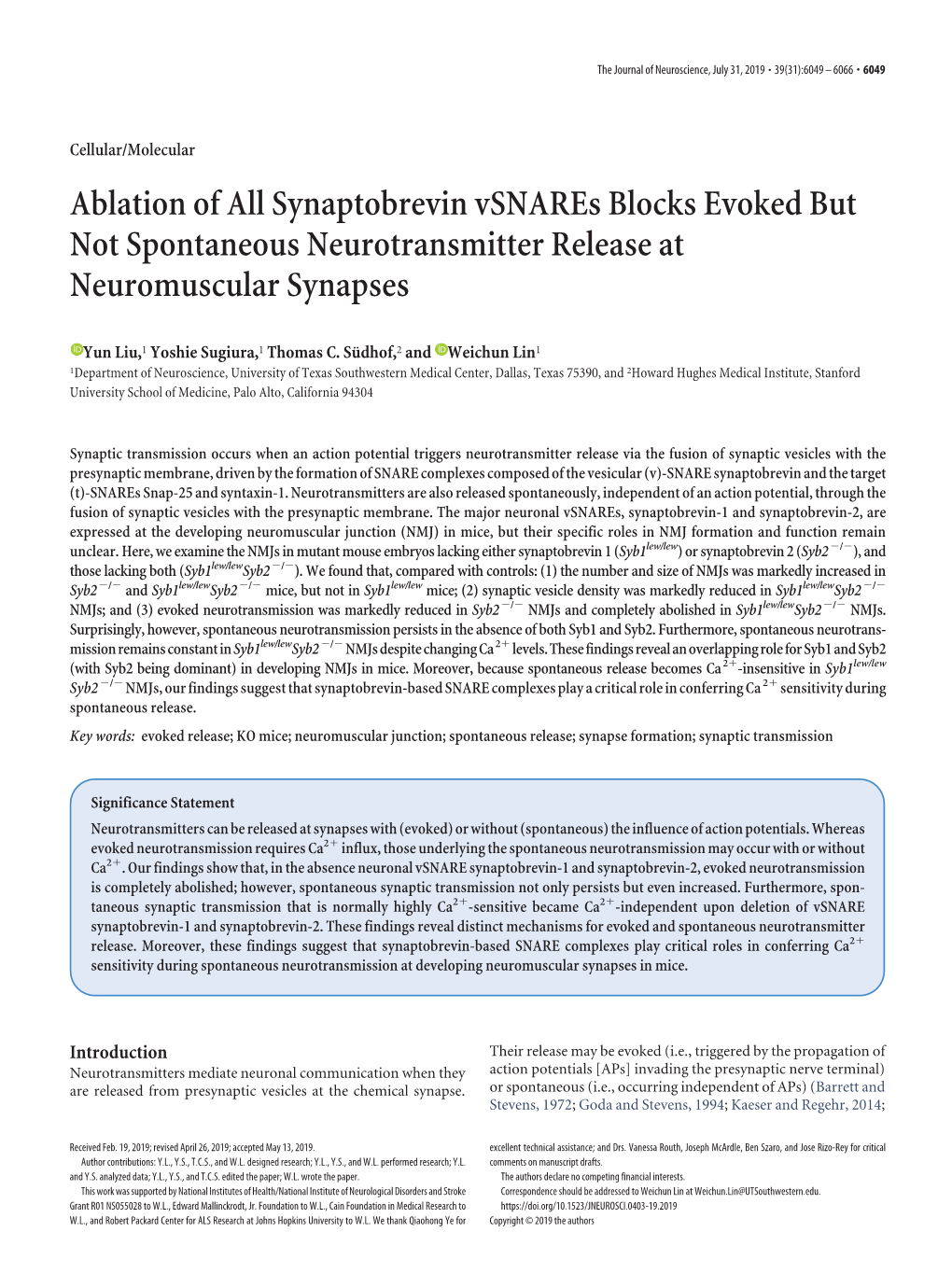 Ablation of All Synaptobrevin Vsnares Blocks Evoked but Not Spontaneous Neurotransmitter Release at Neuromuscular Synapses