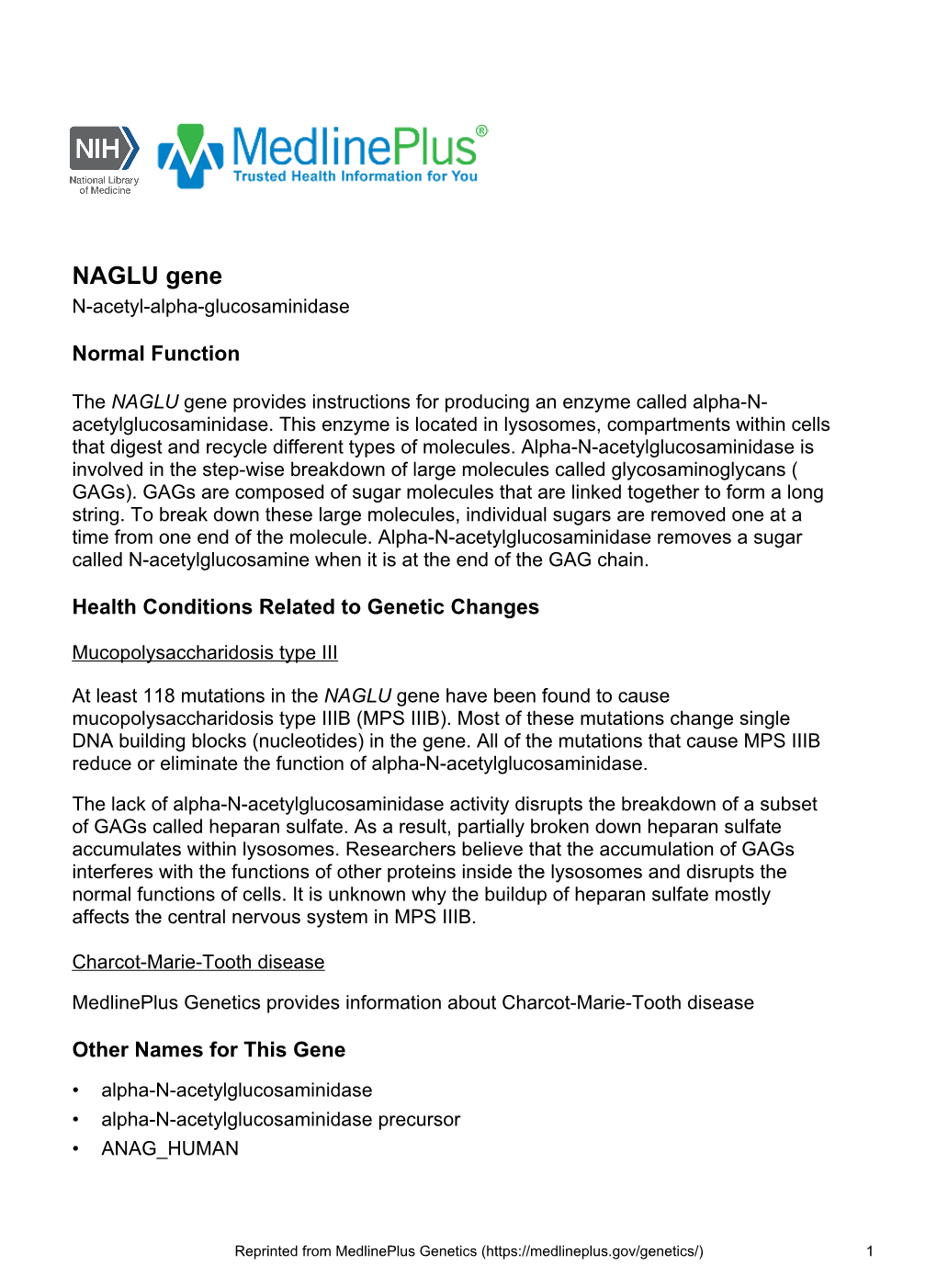 NAGLU Gene N-Acetyl-Alpha-Glucosaminidase