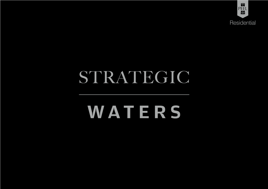 Strategic-Waters-Interactive