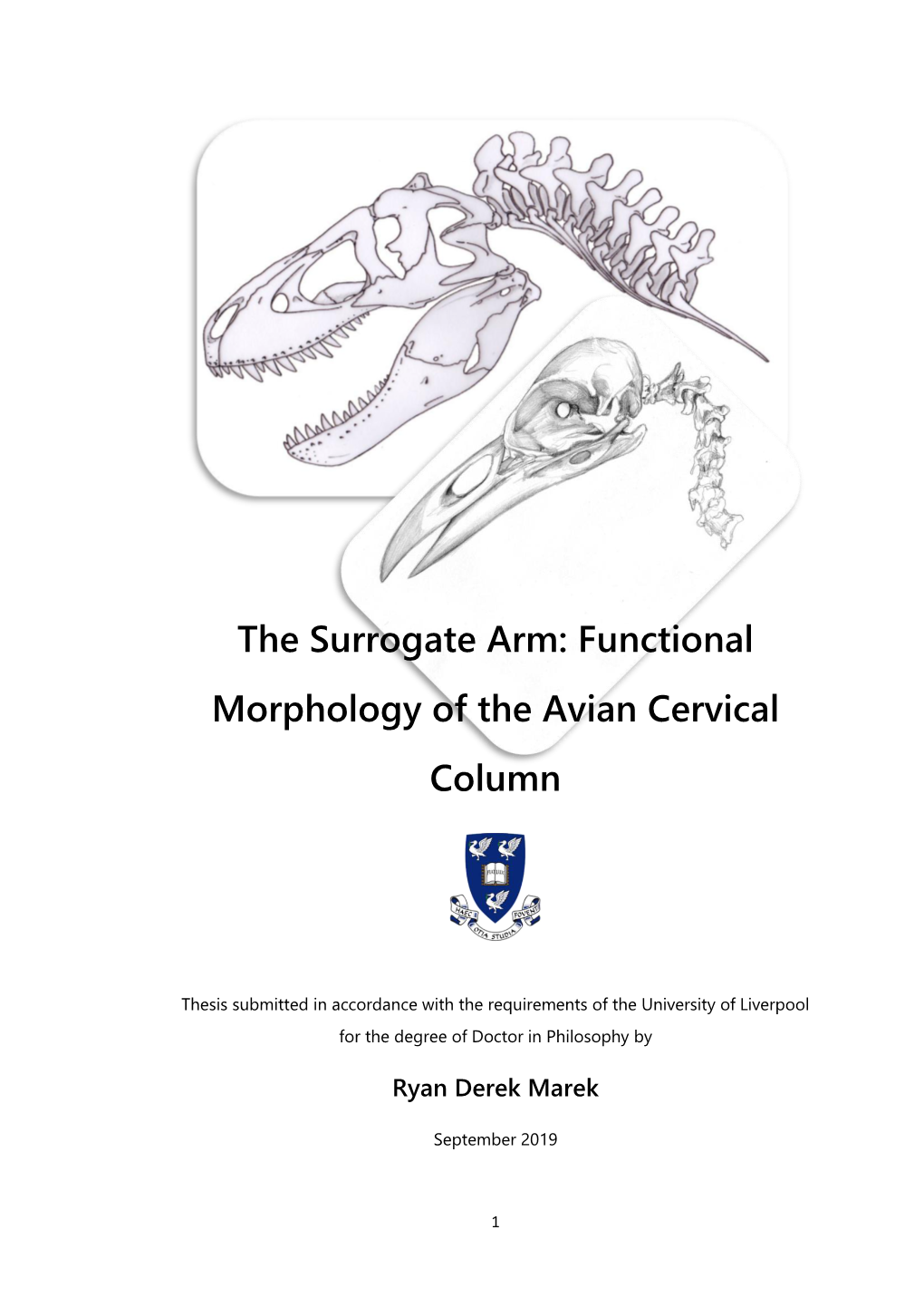 Functional Morphology of the Avian Cervical Column