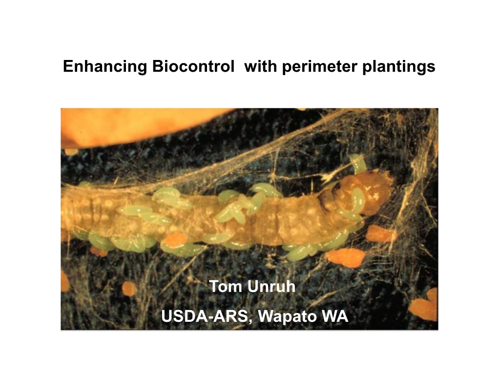 Enhancing Biocontrol with Perimeter Plantings