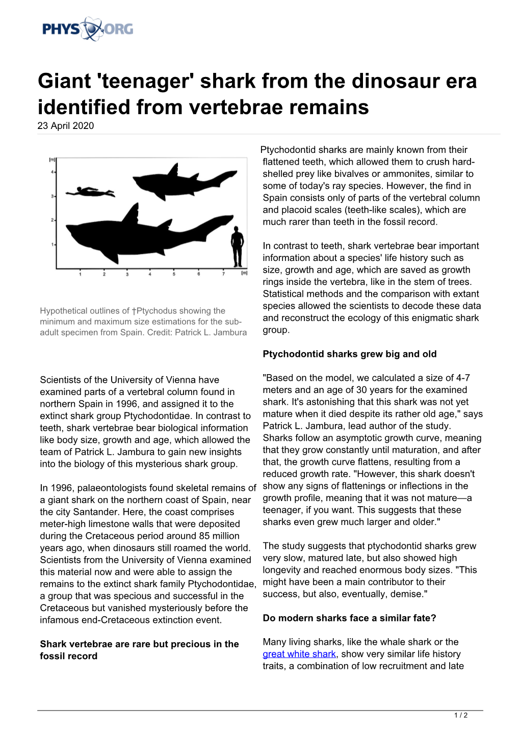 Giant 'Teenager' Shark from the Dinosaur Era Identified from Vertebrae Remains 23 April 2020