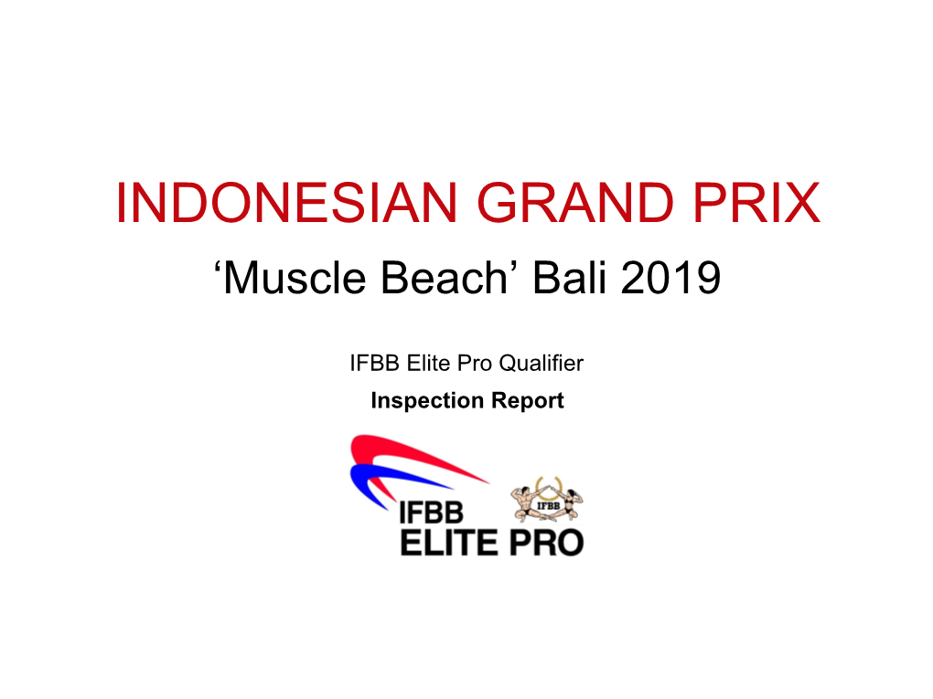 Indonesian Grand Prix