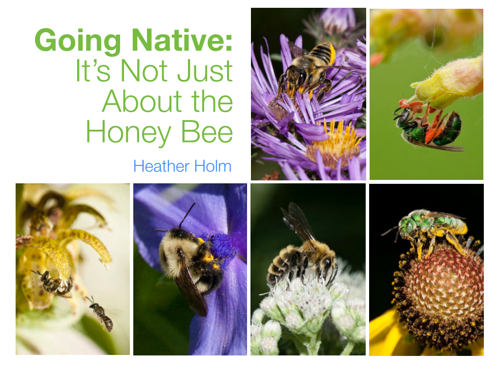 Going Native: It's Not Just About the Honey