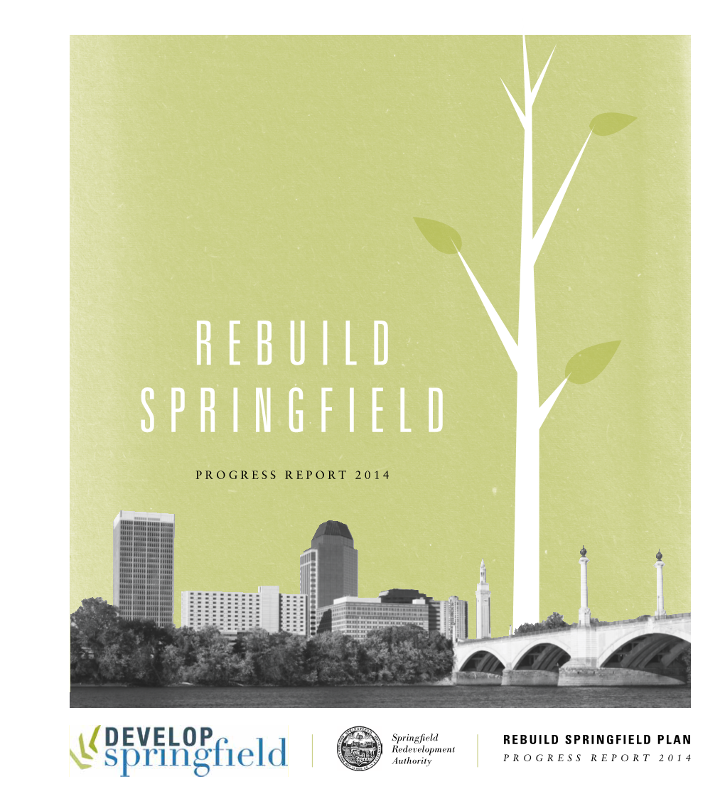 Rebuild Springfield