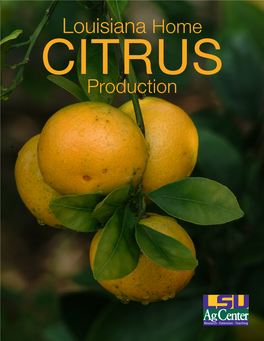 Louisiana Home CITRUS Production