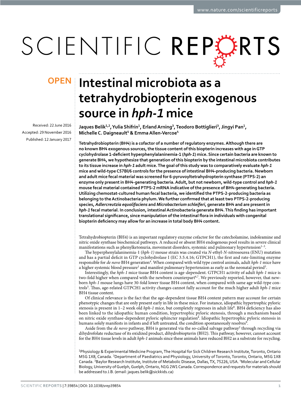 Intestinal Microbiota As a Tetrahydrobiopterin Exogenous