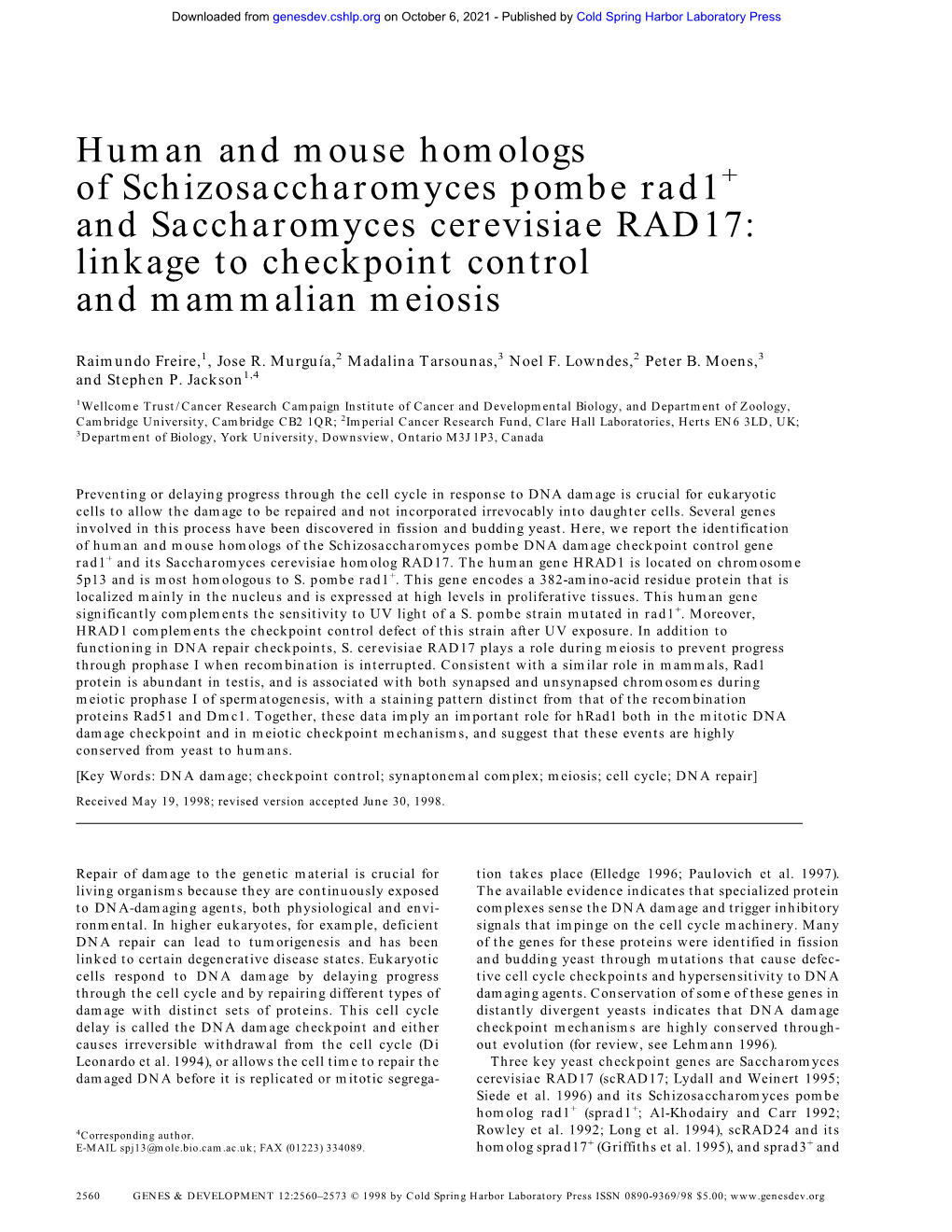 Human and Mouse Homologs of Schizosaccharomyces Pombe Rad1+ and Saccharomyces Cerevisiae RAD17: Linkage to Checkpoint Control and Mammalian Meiosis