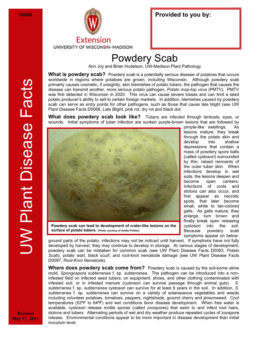 Powdery Scab Ann Joy and Brian Hudelson, UW-Madison Plant Pathology